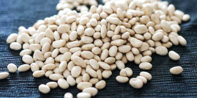 Frijoles y otras leguminosas