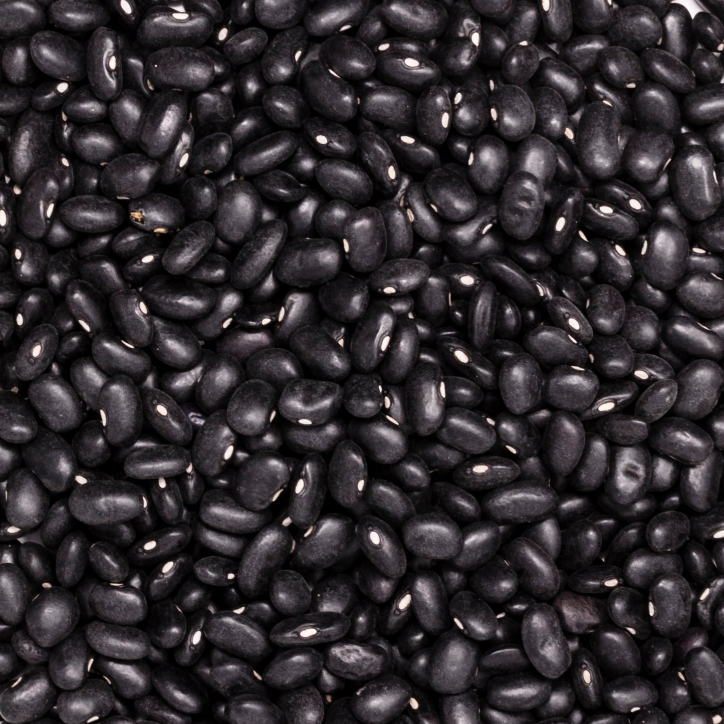 Frijoles y otras leguminosas