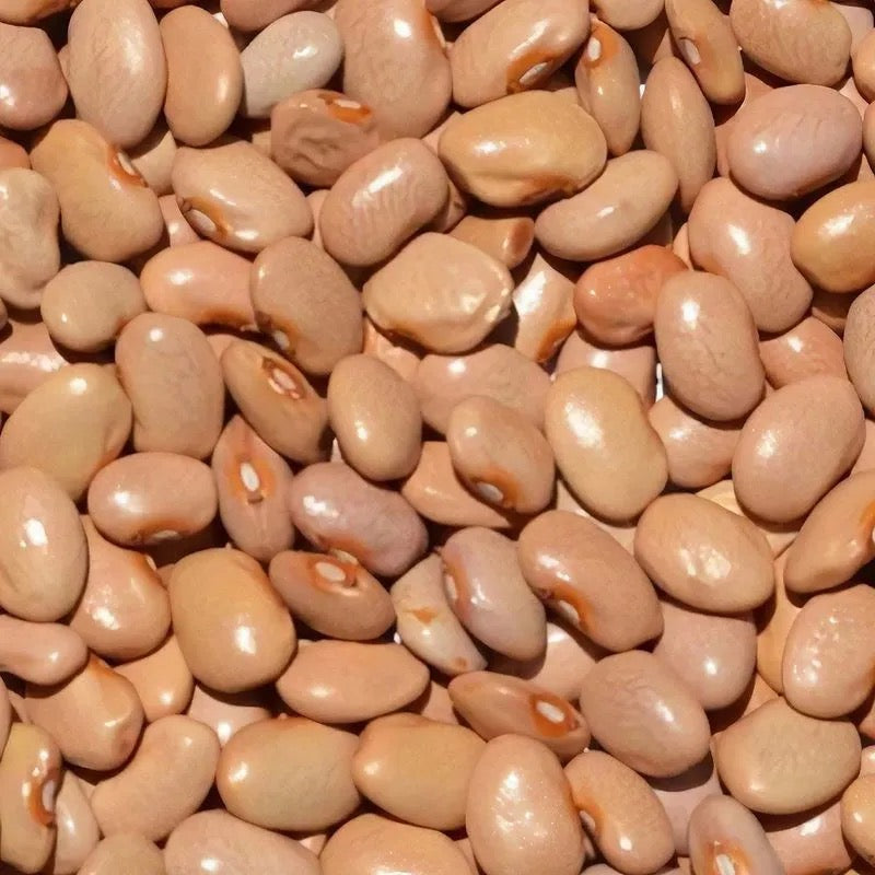 Frijoles y otras leguminosas