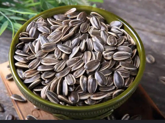 Semilla de girasol con cascara